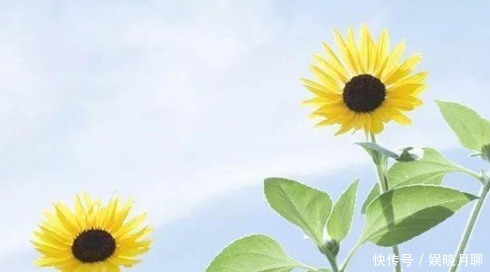 就凭这3件事,每个家庭代代出人才!