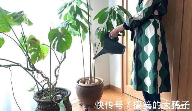 太太|日本退休夫妇的蜗居生活，房子虽小却布置得温馨精致，惹人喜爱！