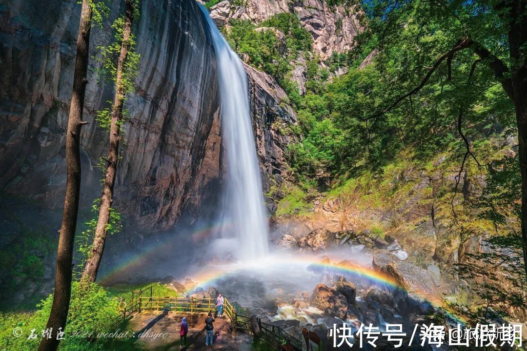 门票|河南专属于你的秋色丨银杏已黄，枫叶转红…撩人秋色等你来赏