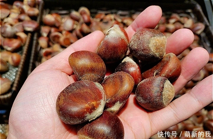 到底|买板栗时,到底选扁的还是圆的?老农这样说,原来这么多人选错了