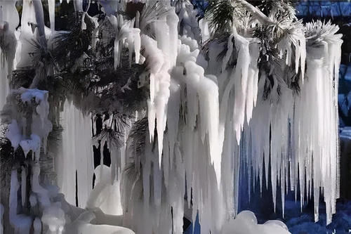 老君山|美炸了! 仿若天上宫阙, 雪后老君山雾凇云海, 琼楼玉宇美成仙境