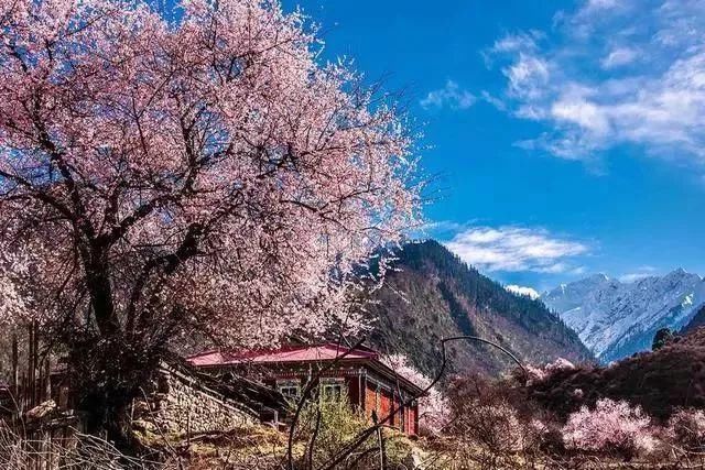 中国最美的十大雪山，你去过几个？（含最详细转山观景攻略）