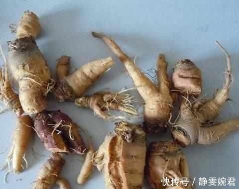 肝毒的克星找到了,天然肝脏“解毒王”,每天