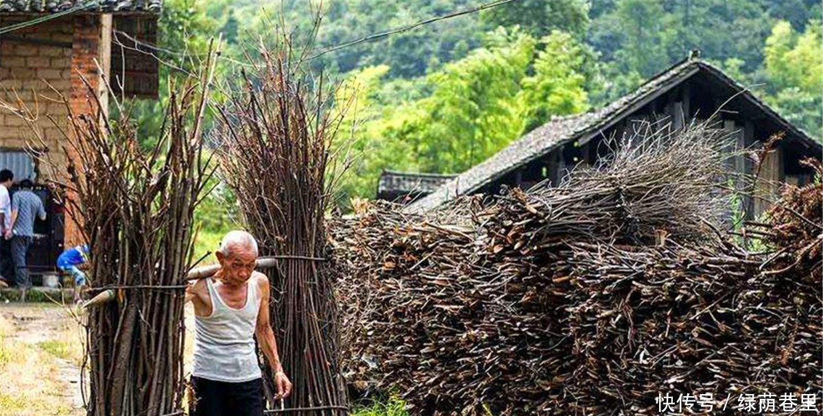 志气|俗语饿死不吃嗟来食,穷死不娶活汉妻,人活着就是争一口气啊!