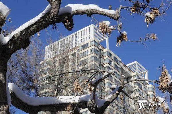 冬至雪后 晴空暖日似春归