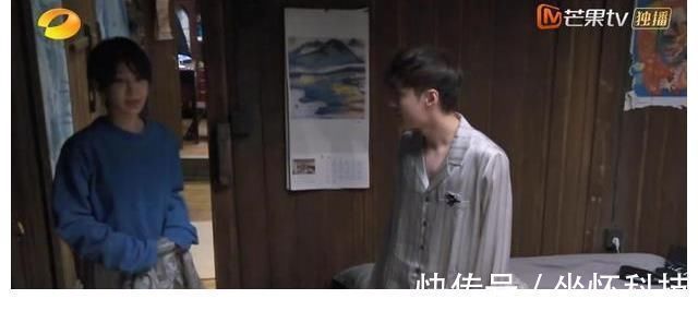 女生日记|《向往5》开播至今,两位最受欢迎的飞行嘉宾出炉,杨紫占据一席