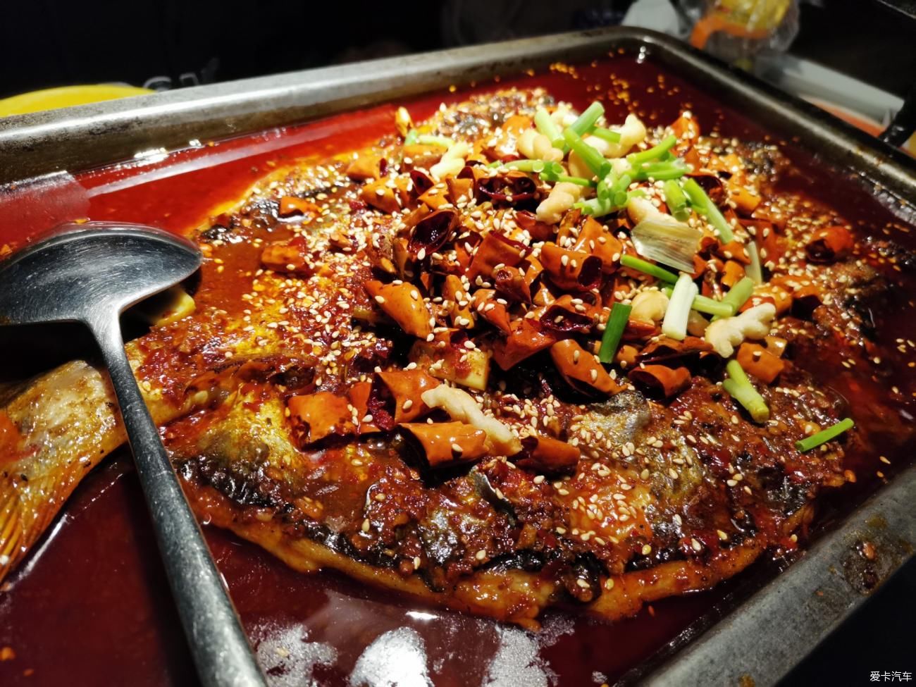 一万年前吃烤鱼一万年后吃探鱼