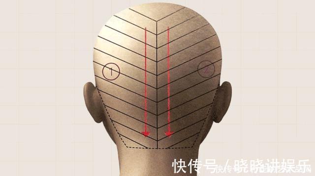 托尼老师|为什么托尼老师染发这么贵丨回形针