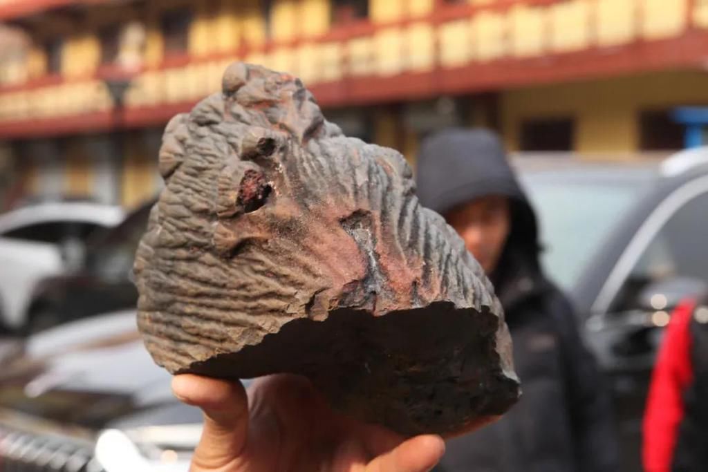  陨石|“群星”在故都闪耀——第四届临淄齐国商城陨石展