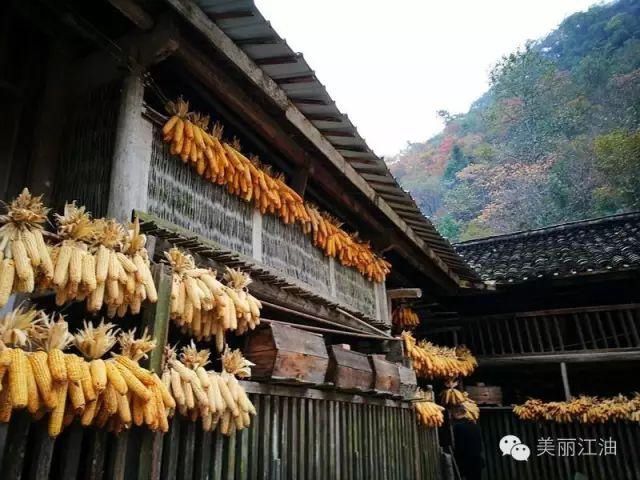 风动|【创建天府旅游名县】色在深秋，风动叶飘零，李白故里美色迷人，要你好看！