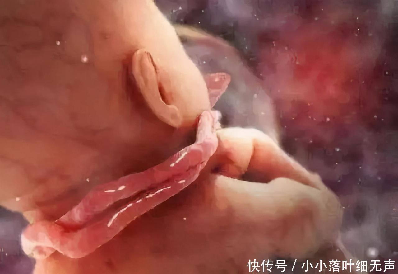 胎儿|孕期有这3个行为，容易导致胎儿脐带绕颈，孕妈别只顾着自己舒服