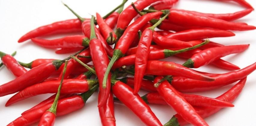 蚧壳虫|解决多肉长蚧壳虫有套路，这4个方法，一学会就能轻松搞定