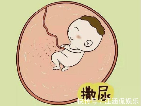 橙汁儿|子宫黑漆漆，胎儿会无聊吗这些“游戏”玩得可溜了