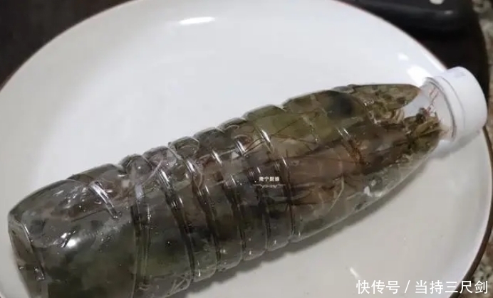 保存大虾不能直接冻冰箱老渔民教你3招,1年不坏,和鲜虾一样