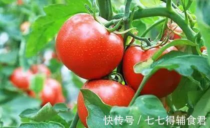 食物中毒|有几种蔬菜或不适合孕期食用,备孕期间不妨提前了解下