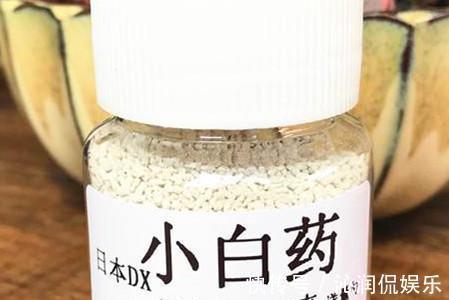 虫子|家里无论养啥花，提前做“3步”，以后虫子少、不烂根