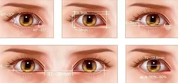 眼睛 济南海峡整形科普：这几种双眼皮形态哪种更适合你？