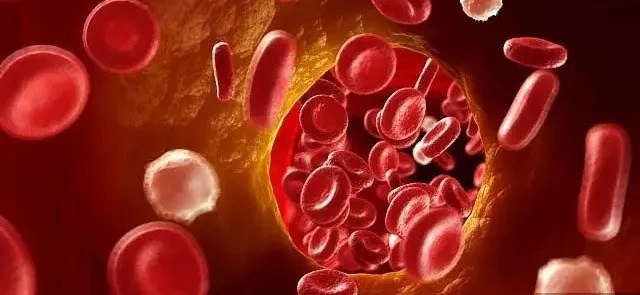 内膜|因为高血压进了ICU!别再拿高血压不当回事儿