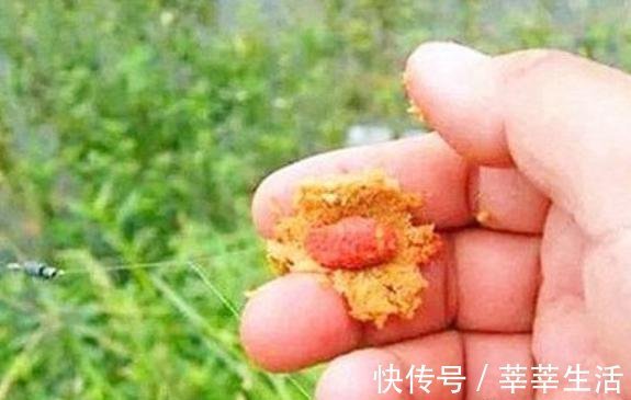 垂钓|钓鱼高手分享的诱饵秘诀，跟着老钓手学饵料搭配注意事项！