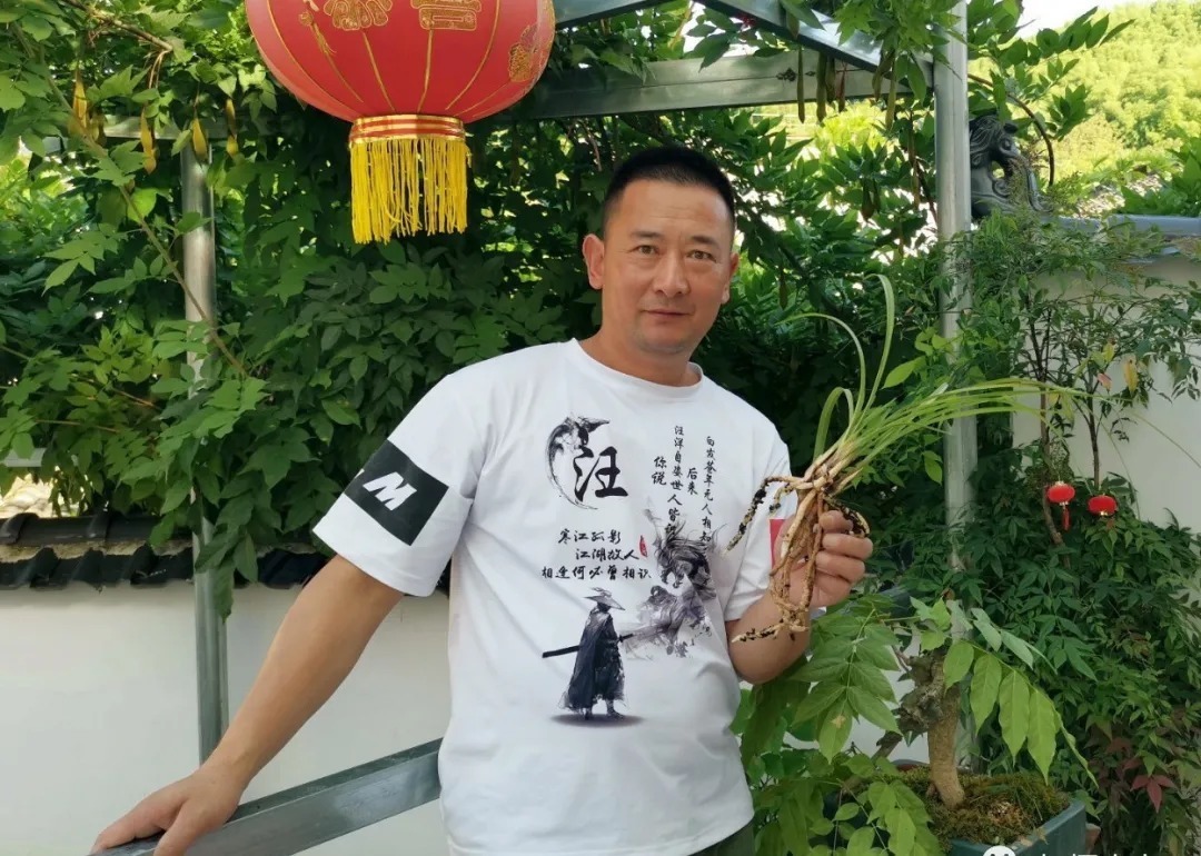 种植|兰花种植前，究竟要不要清洗兰根、浸泡药水？4种原因要明白