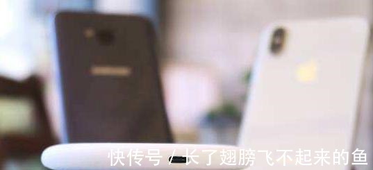 阳萌|被低估的中国品牌在国内收入占比不到2却在海外狂赚51亿元！
