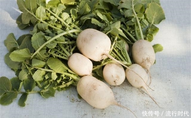 萝卜和1物一起煮，时常吃点，血压听话、血脂安静，便秘不犯！