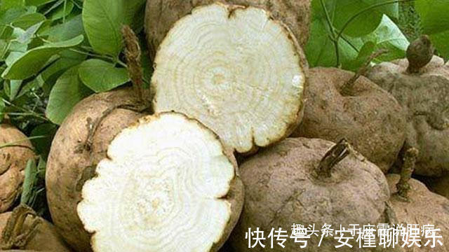 预防肝炎|肝不好的人，一定没有试过它们，长期服用，修复肝细胞，预防肝炎