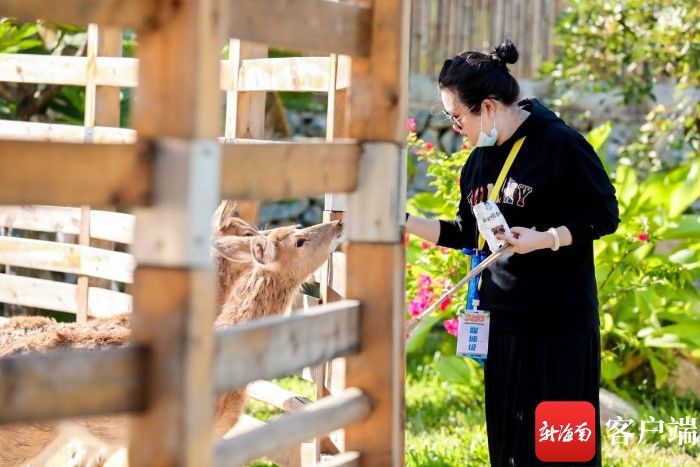 黎族|原创组图丨海南网媒行采访团走进保亭布隆赛：近距离感受黎族特色乡村之旅