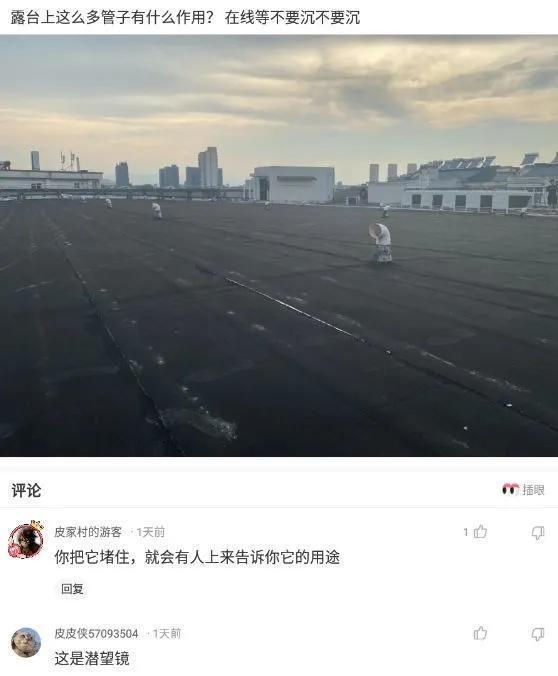 猫和老鼠|如果和平精英开发了房地产，你会在哪买房？网友：都是凶宅，不买