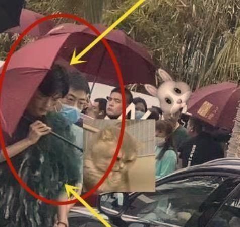 复出|肖战复出录制综艺,为何却选择把综艺首秀给了蓝台