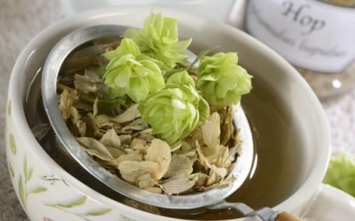 关节|几乎可以治疗所有关节疼痛的中药方子:探讨桂枝芍药知母汤的妙用