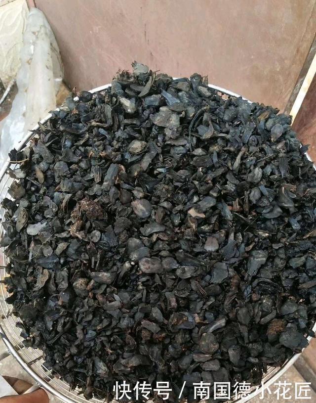 红砖块|出门捡4种东西,养花垫盆底,营养土不用买,疏松透气、不烂根