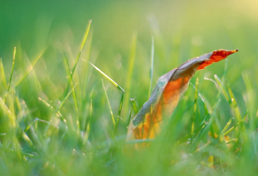 接种疫苗|健康提醒：洪涝灾害后预防自然疫源性疾病