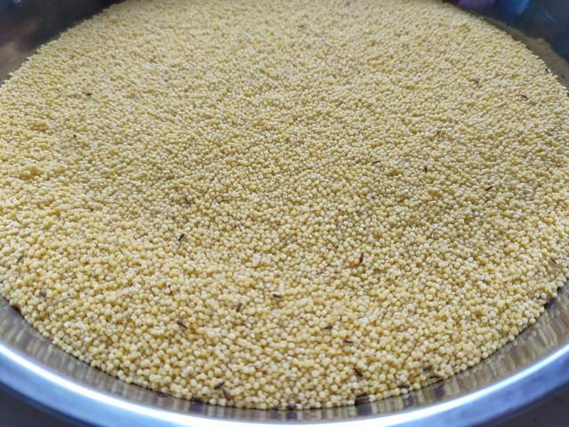 真空|三伏天，小米易生虫，试试这样保存，小米不发黑不生虫