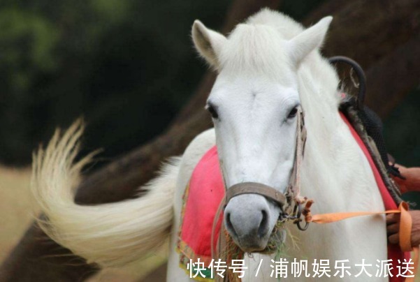 四大名著@西游记中,唐僧的坐骑白龙马有两大绝活,为何取经路上不轻易用