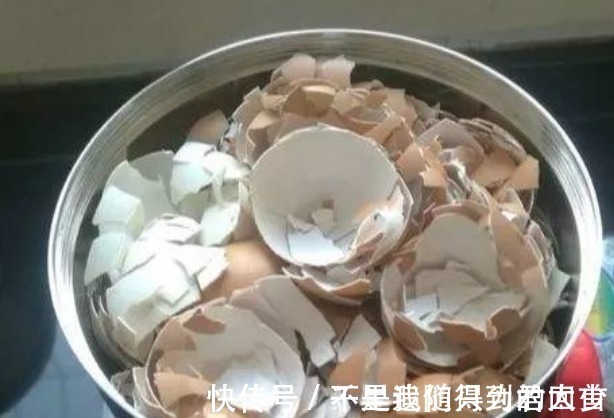 水杨酸|蟹爪兰想要“花苞”长的多,往盆里加1物,开花不停,拦都拦不住