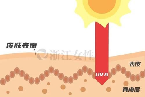 这些食物，是天然的抗衰老药方