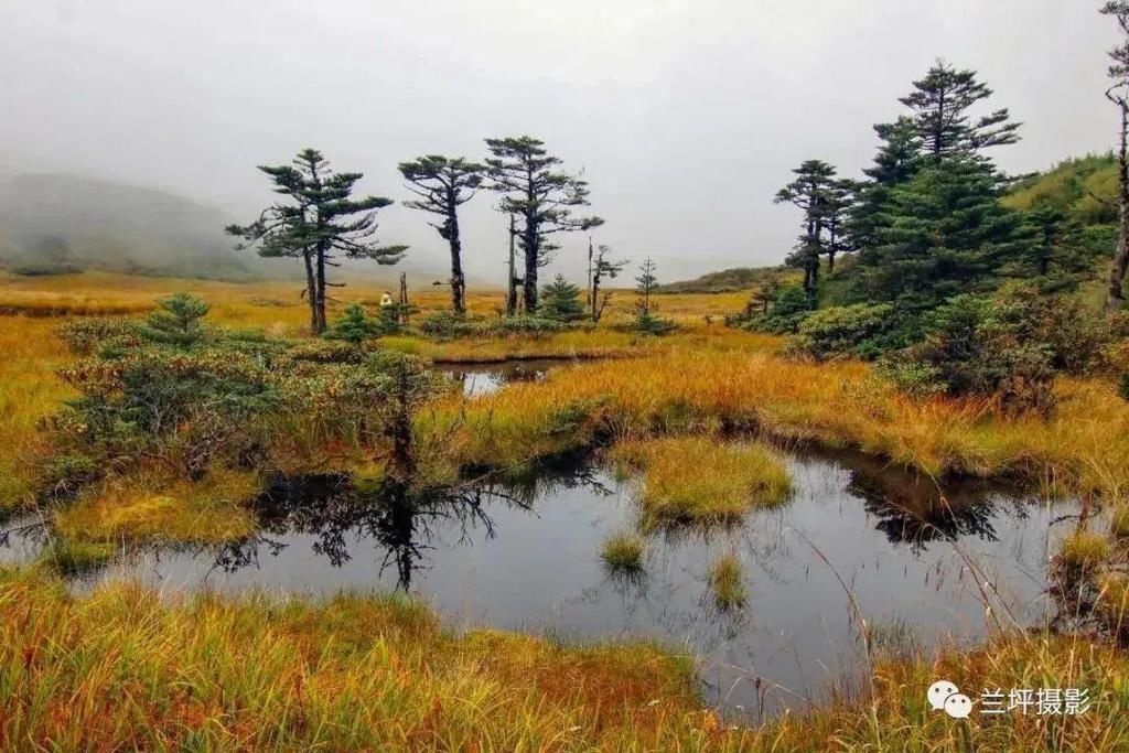 中排乡老窝|兰坪的山 兰坪的水 兰坪的夜