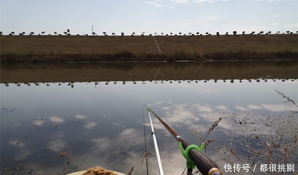 冬季天寒鱼难钓,拉白条也是好选择,试试这些狠招数,白条连竿上