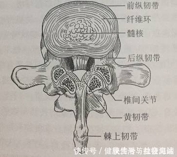 腰椎间盘突出的各种疗法！看这一篇就够了！