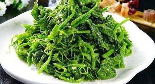 营养成分|女性养生,要坚持吃三种食物,淡化皱纹,延缓衰老