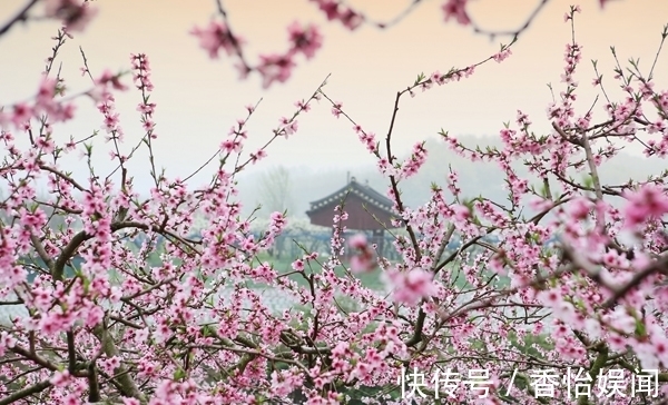 桃花庵&明朝大才子被革除功名，写一首愤世嫉俗的诗，同一个字重复了14次