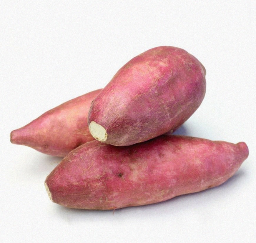 国外|他冒死从国外偷回一根藤,却拯救了几亿中国人,至今仍受国人爱戴