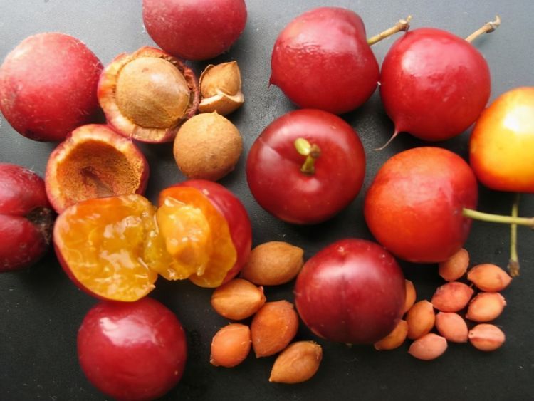 女性養生，適合吃3種食物，補血益氣，延緩衰老，有益健康