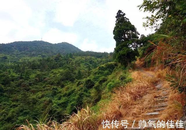 众鬼#新聊斋|县令剿鬼匪