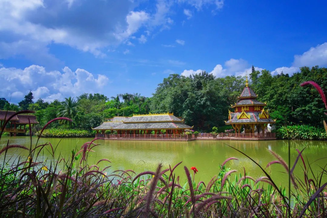 总佛寺|上榜《孤独星球》全球最佳旅行地，不用出国，也能感受东南亚风情