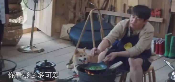 王迅|《向往》黄磊多次口无遮拦,嘴毒程度堪比那英,连张子枫都没躲过