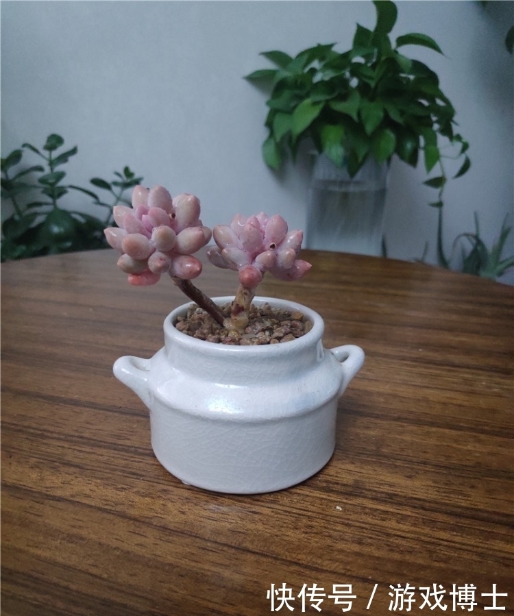 一肉一世界,一方一净土