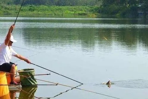 整个水域钓空,老钓手却用“这个方法”,爆护十多斤,一定要学会