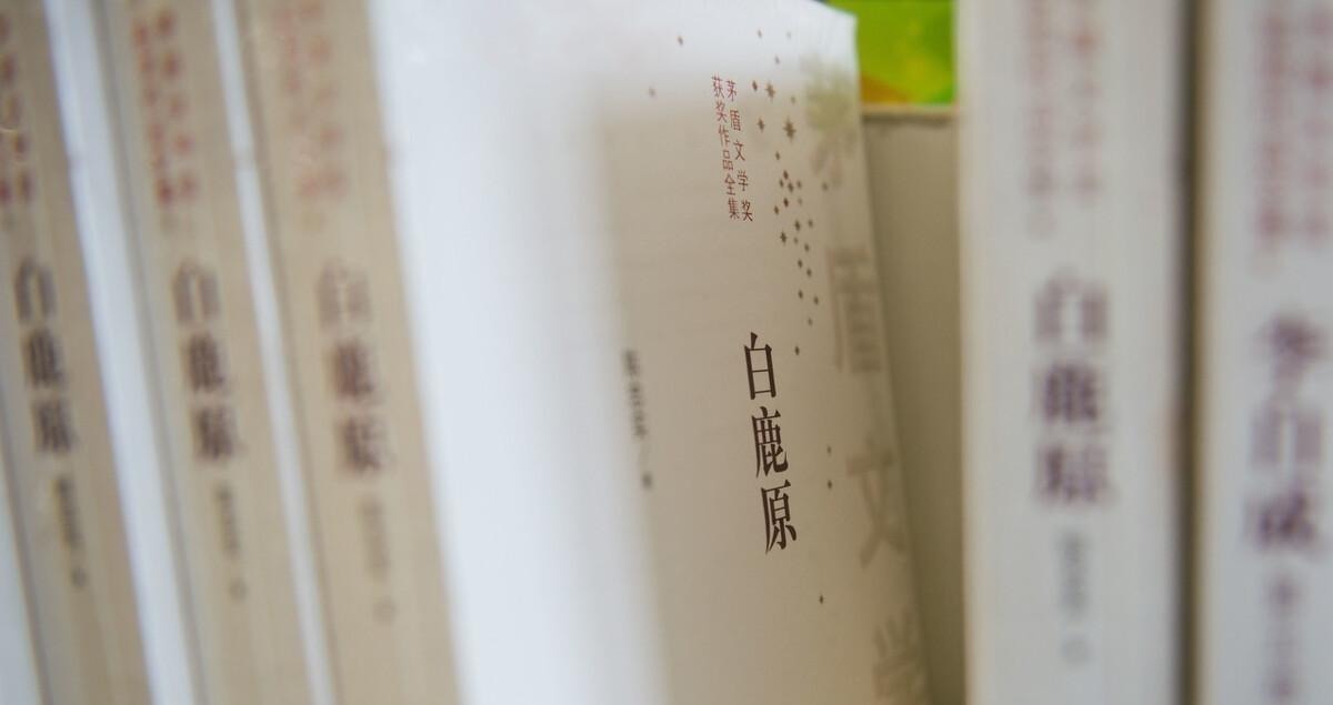 田小娥$读《白鹿原》 看乱世众生相,浮生千面人,读懂中国的社会人心